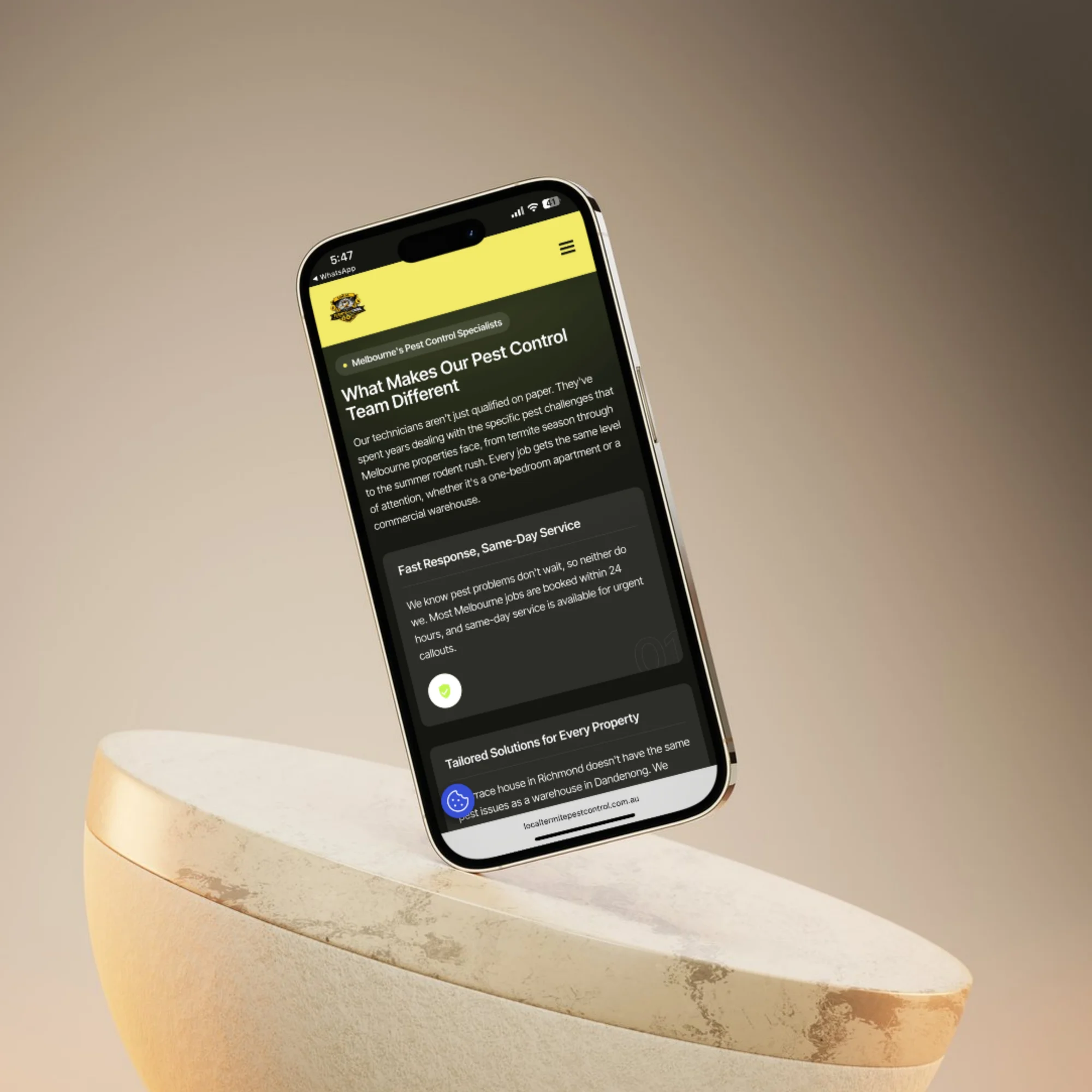 Mr Pest Killer mobile page on a phone mockup showing what makes the pest control team different